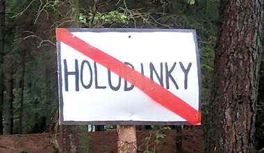 Letní tábor 2015 - Holubinky